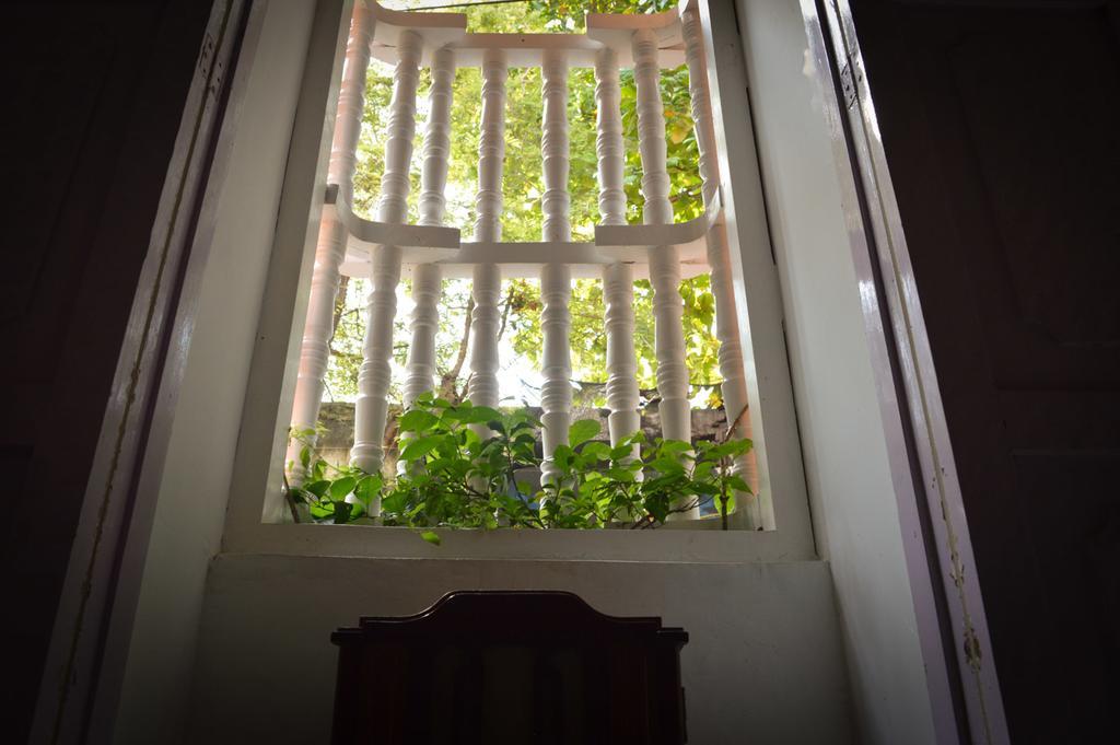 Casa De Santo Domingo Vidal Hostel Cartagena Buitenkant foto